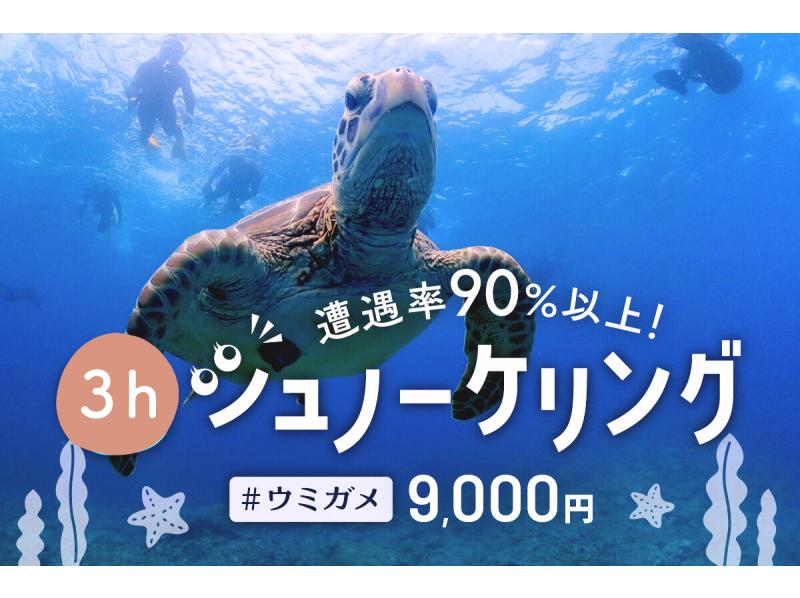 [Ishigaki Island, 3 hours] Landing on the phantom island & snorkeling with sea turtles - A dream time to swim with sea turtles with an encounter rate of over 90%! [Free equipment rental & photo data]の紹介画像