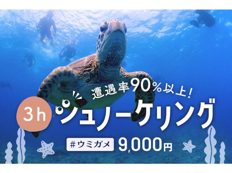 SALE！【石垣島・3時間】体力が心配な方にもオススメ！船でウミガメシュノーケリングへご案内！10年連続90％以上の遭遇率！の紹介画像