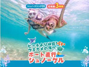 【石垣島・3時間】ビーチより断然ラク！ボートで行くウミガメ遭遇率90％の感動シュノーケル｜器材＆写真無料_s05