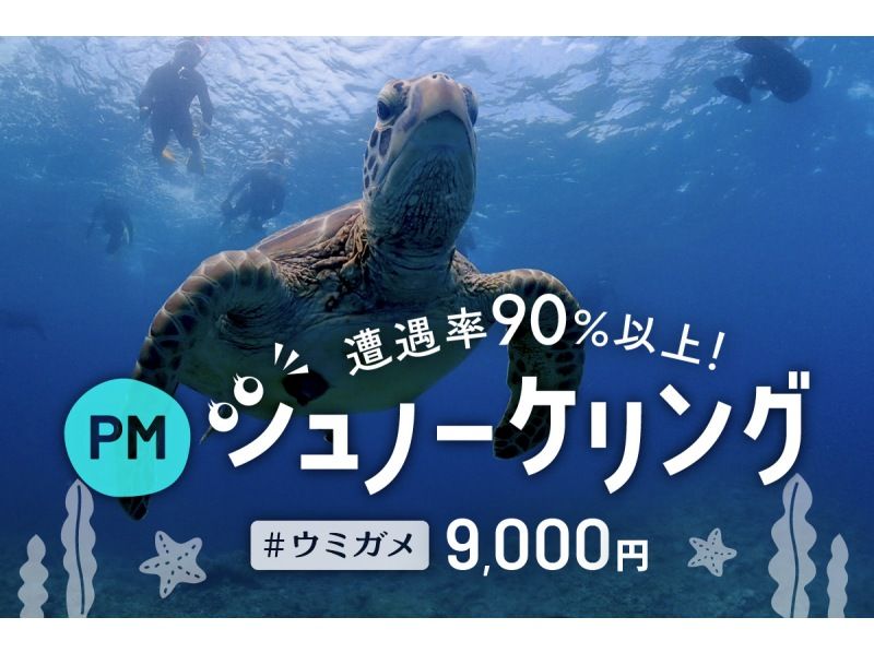 <For Beginners> [Ishigaki Island / Half Day] Sekisei Lagoon & Sea Turtle Snorkeling - A dream time swimming with sea turtles with an encounter rate of over 90%! [Spring sale underway]の紹介画像
