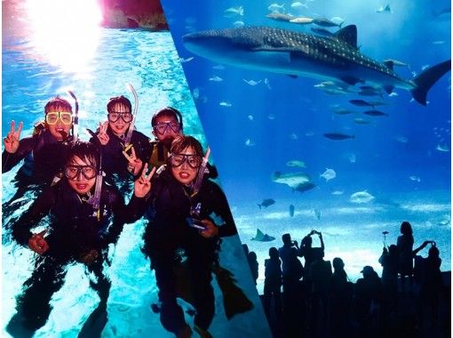 【沖縄・恩納村】青の洞窟 ボート体験ダイビング＆美ら海水族館入館券付きプラン