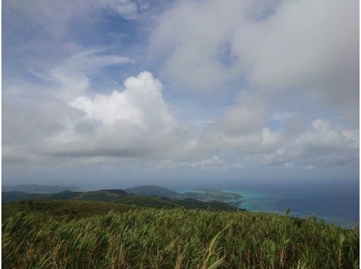 [Okinawa / Ishigaki island] Mt. Omoto trekking! With transferの画像