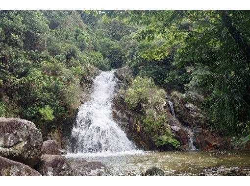 [冲绳/石垣岛]荒川瀑布徒步旅行！有转移の画像