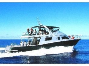 【沖縄 慶良間諸島】最終日は慶良間諸島で乗船料無料で開催！　PADIアドヴァンスドコース※1月～3月はホエールウォッチングサービス