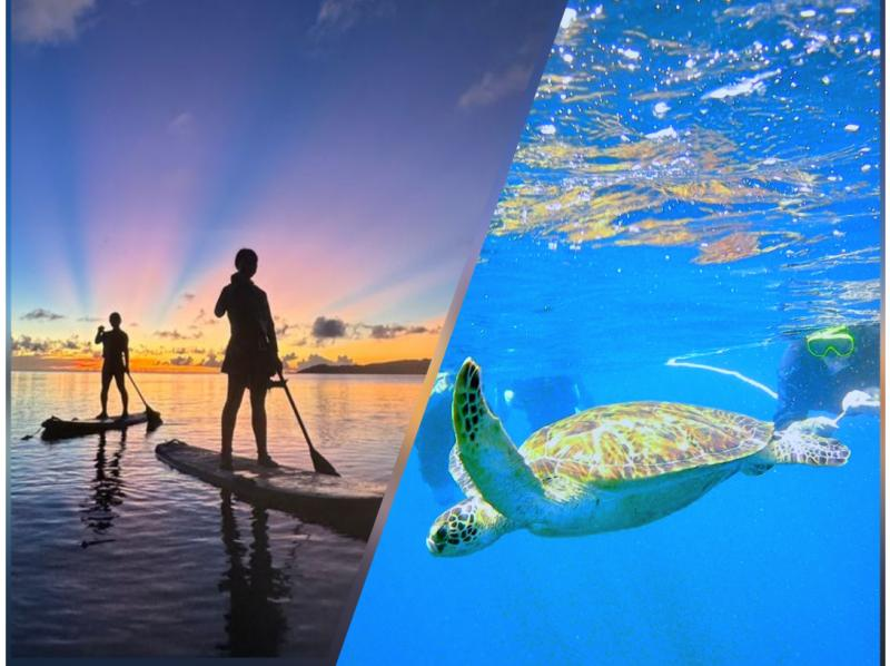【沖縄・石垣島】青の洞窟とウミガメのシュノーケリング＋夕日と星空のSUP【お得なセット】の紹介画像