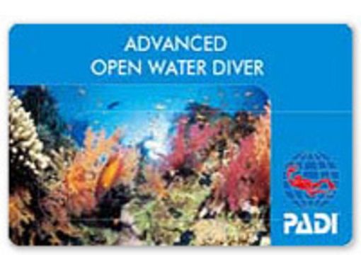 [沖繩宜野灣]潛水執照收購過程PADI進階開放水域潛水員の画像