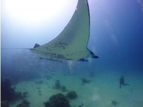 "3-day diving license course" at an overseas Maldives resort
