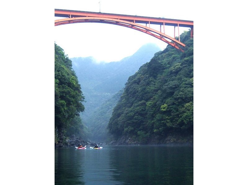 【屋久島・1日】白谷雲水峡トレッキング&安房川カヌーのお得なセットツアーの紹介画像