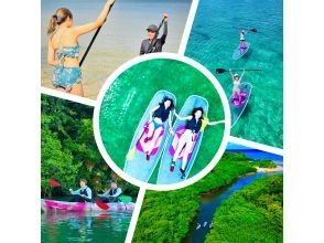 【石垣島・1組貸し切り】絶景の海＆マングローブ&上陸探索♪ 4kドローン撮影と5,4kゴープロ無料撮影付き!! クリアサップorクリアカヌー