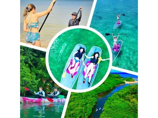 【石垣島・1組貸し切り】絶景の海＆マングローブ&上陸探索♪ 4kドローン撮影と5,4kゴープロ無料撮影付き!! クリアサップorクリアカヌーの画像