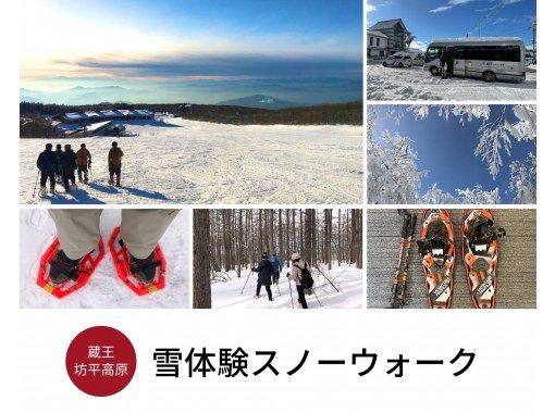 【야마가타현 카미노야마 온천발·자오 고원 보헤이】눈 체험 스노워크の画像