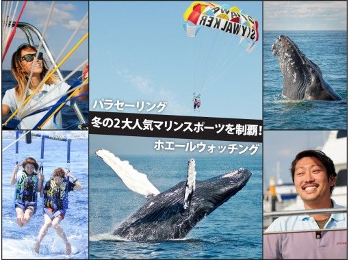 [Departure from Ginowan Whale Watching & Parasailing] Limited to 10 groups / Small group ★Full money back guarantee★の画像