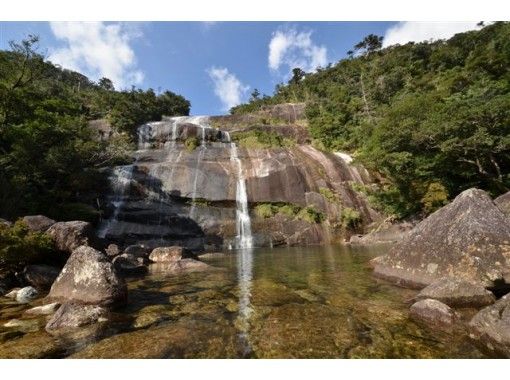 [Kagoshima / Yakushima] Yakushima Forest Day Tour! Janoguchi Waterfall Short Tour (with lunch)の画像