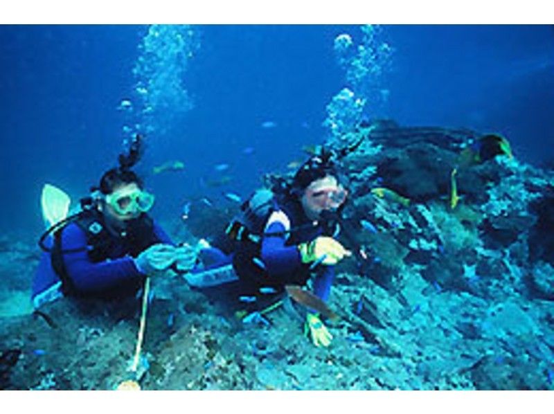 [和歌山·En本]深潛C卡執照取得課程[開放水域潛水員課程]の紹介画像