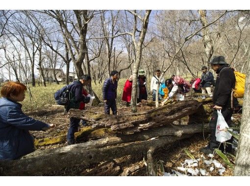 【栃木・奥日光】生物多様性について知る入門観察会・1日じっくりコース