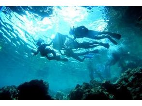 [โอะกินะวะสีฟ้าถ้ำ] ประสบการณ์การดำน้ำ (3 ชั่วโมง)の画像