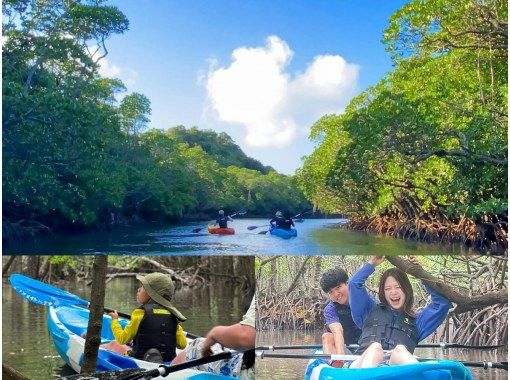 【石垣島最大の国立公園マングローブをカヤック探検】初心者も安心の少人数制♪　映える高画質動画と写真撮影付きで家族や友達との思い出を（２時間）の画像