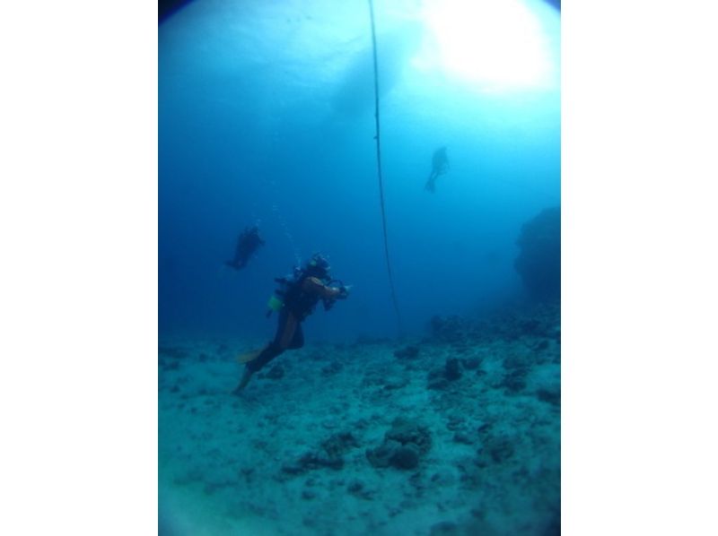 [아마미 오시마 · 가케 로마 섬 다이빙 ] 체험 다이빙 (해변)の紹介画像