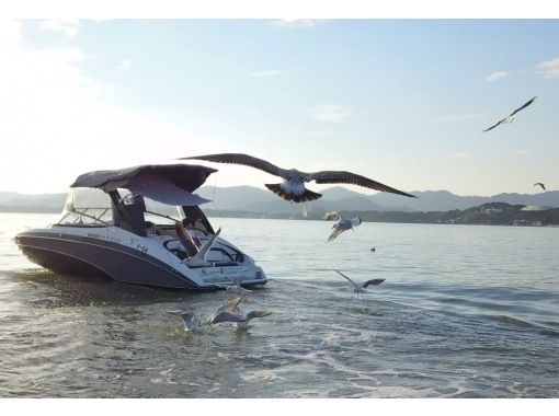 Warm heating [You can have the black-headed gulls all to yourself.] Feed the cute black-headed gulls and enjoy a comfortable cruise (November to mid-February) Lunch box included.の画像