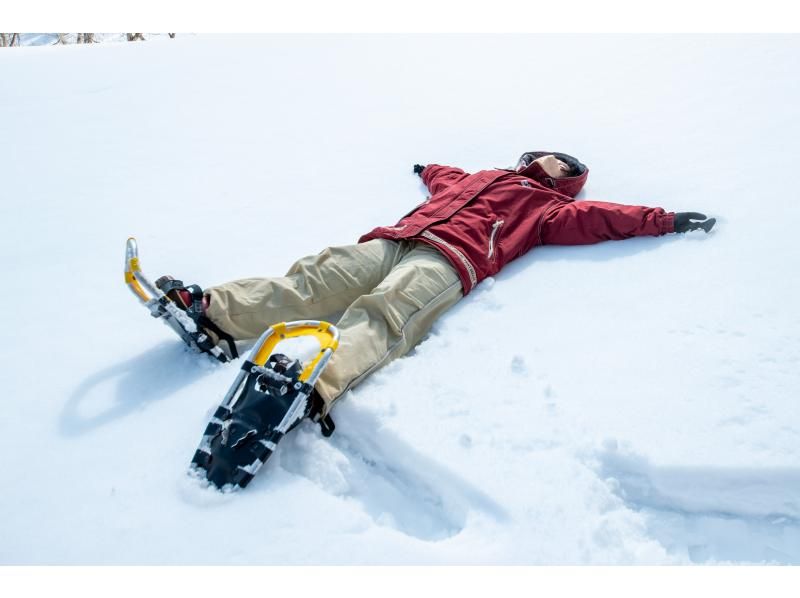 [Sapporo Moerenuma Park] Snowshoe experience & playing in the snow with everyone (half-day plan)の紹介画像