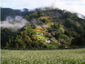 千年のかくれんぼ　秘境・奥祖谷タクシープラン：4時間コース【徳島・大歩危祖谷】