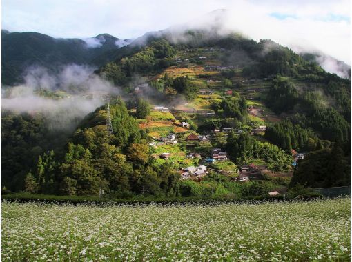 A Thousand Years of Hide and Seek: Hidden Lands, Oku-Iya Taxi Plan: 4-Hour Course [Tokushima, Oboke-Iya]の画像