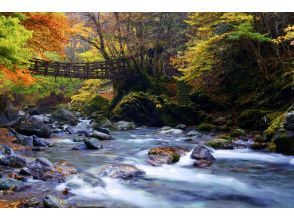 [Spring Sale in progress] [Tokushima/Miyoshi City Iya] Taxi plan “Millennium Hide and Seek Unexplored Region Oku-Iya Tour” 4-hour courseの画像