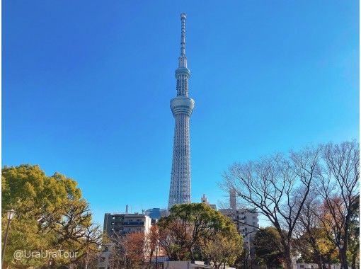 下町の観光名所をいいとこどり 浅草 スカイツリー 東京サイクルトリップ アクティビティジャパン