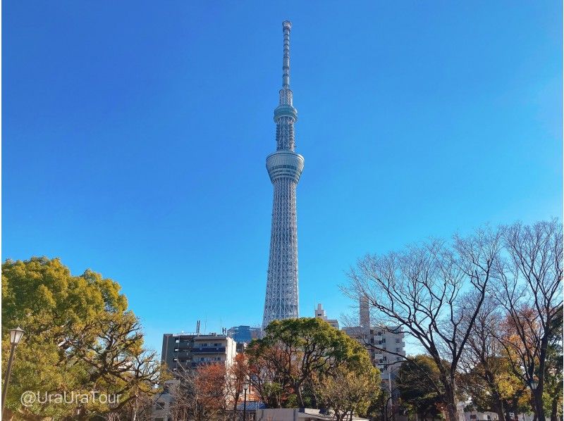 "Super Summer Sale Now" [Utilizing Urban Share Cycle] Enjoying Tourist Attractions in Downtown-Asakusa / Sky Tree- [Tokyo Cycle Trip]の紹介画像