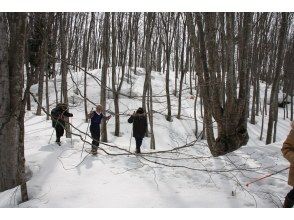 【山形・最上】雪の足跡探検ウォーキング（中級コース）の画像