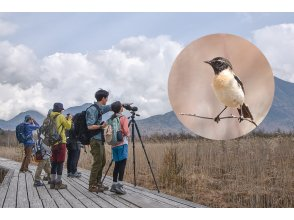 日光自然科学博物馆株式会社