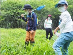 カッチカチのコウチュウたちを探せ！奥日光・ムシムシ観察会【大自然の中で昆虫と触れ合う】