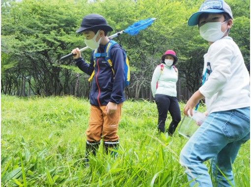 カッチカチのコウチュウたちを探せ！奥日光・ムシムシ観察会【大自然の中で昆虫と触れ合う】の画像