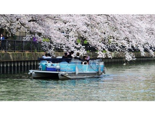 2025 大阪　お花見さくらクルーズ貸切 【大人気】の画像