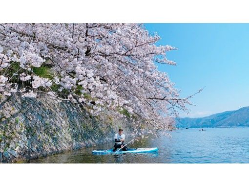 【滋賀・海津大崎】お花見人気滋賀県第一位☆春限定プラン☆SUPで満開の桜を最高のロケーションで楽しもう☆の画像