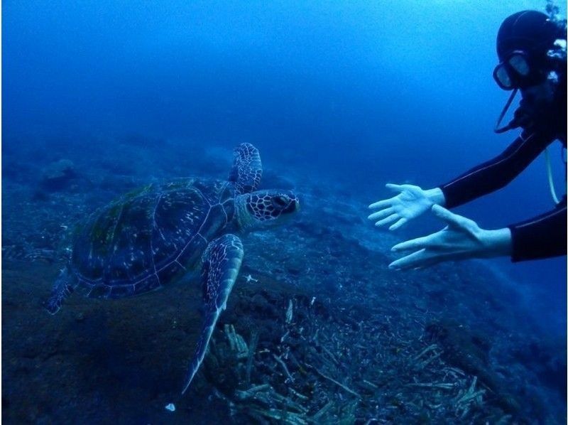 【北海道・SUP体験】透明度の高い支笏湖の湖面をクルージング！SUP体験（半日コース）の画像