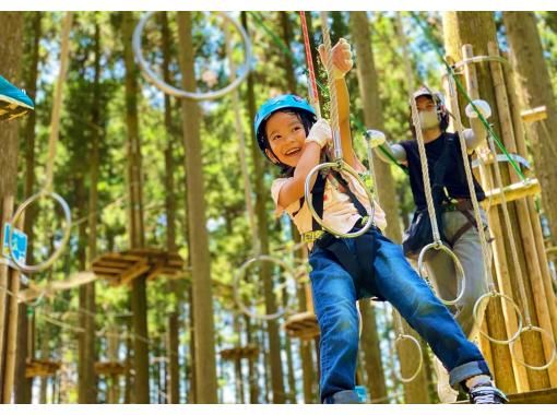 Forest play in Shiga Prefecture! A canopy course for kids (preschool to family) [Forest Adventure, Ritto]の画像