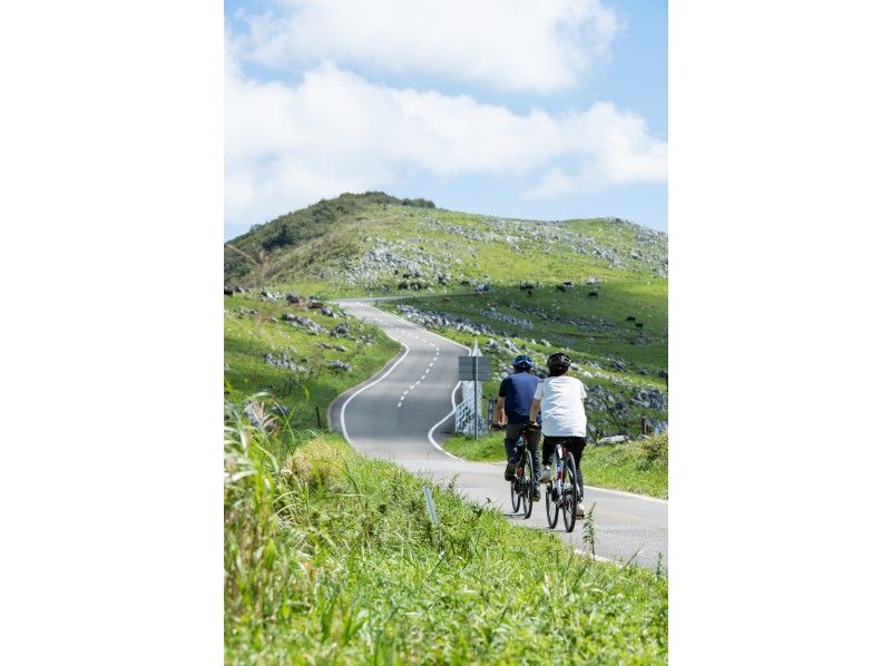 [Ehime / Shikoku Karst] Cycling "a little ride plan" while feeling the refreshing breeze on the plateau of Shikokuの紹介画像