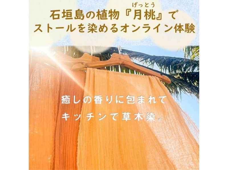 【沖縄・石垣島】島の植物「月桃」でストールを染めよう！の紹介画像