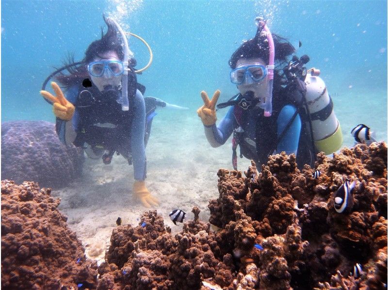 海の遊び処 なかゆくいの最新写真