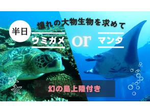 【石垣島・幻の島】憧れの大物を求めて！ウミガメorマンタ遠征シュノーケル＆幻の島上陸（半日3.5ｈ）