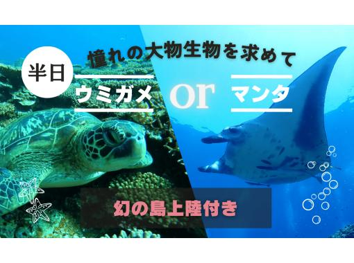 【石垣島・幻の島】幻の島上陸＆ウミガメorマンタ遠征シュノーケル（半日）★憧れの海の生き物を追い求めるアドベンチャーシュノーケルツアー！の画像