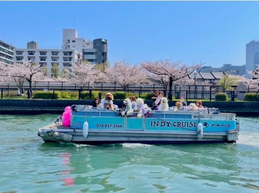 [Osaka's most popular plan] Cherry blossom viewing cruise 2025 OK for small groups! (shared)の画像