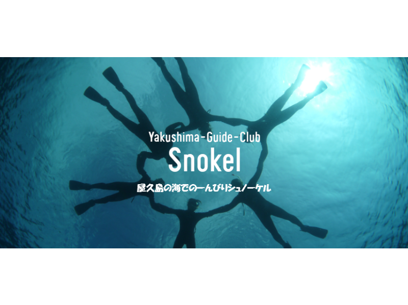 【鹿児島・屋久島】ウミガメに会いに行こう!シュノーケルツアー(半日コース)