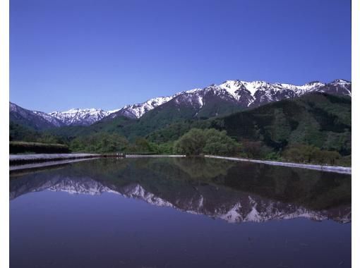 【岐阜・世界遺産白川郷】空から観光！家族で楽しむGW！白山の残雪と新緑の共演、荘川桜の季節をヘリコプターで満喫（3名絶景コース・約12分）の画像