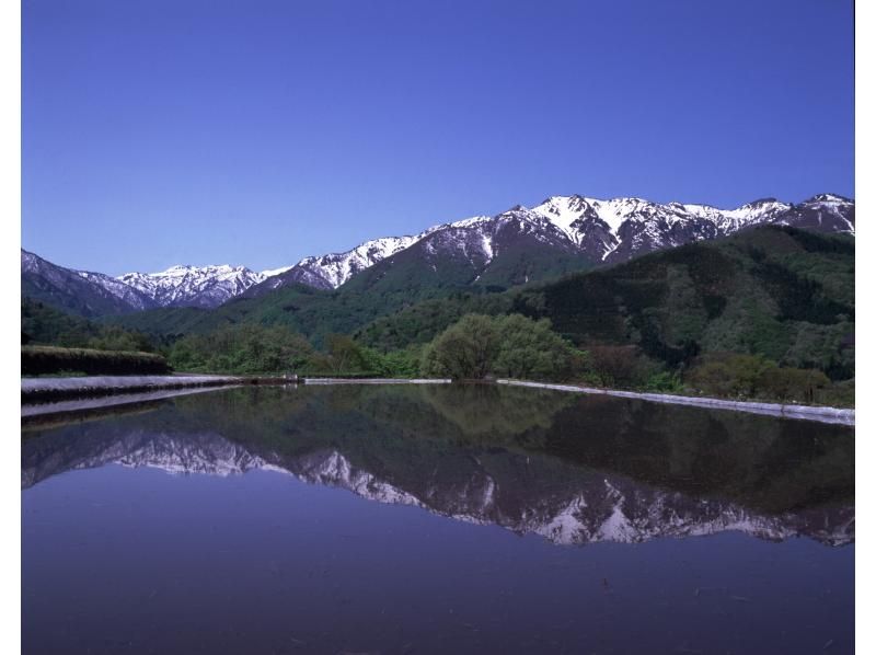 【岐阜・世界遺産白川郷】空から観光！家族で楽しむGW！白山の残雪と新緑の共演、荘川桜の季節をヘリコプターで満喫（3名絶景コース・約12分）の紹介画像