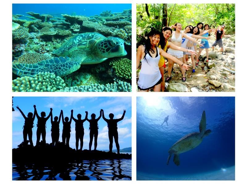 "2022 Super Sale in progress" with a boarding ticket for Taketomi Island! [Okinawa / Ishigaki Island] A gift of nature! Blue Cave Exploration & Sea Turtle Snorkeling Tour!の紹介画像