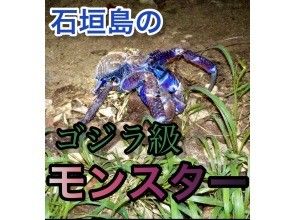 沖縄のヨガ教室 ピラティス体験 ツアーのアクティビティ 遊び 体験 レジャーの格安予約 アクティビティジャパン 日帰り旅行 沖縄のヨガ教室 ピラティス体験 ツアーのアクティビティ 遊び 体験 レジャーの格安予約 アクティビティジャパン 日帰り旅行