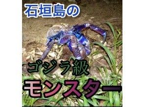 沖縄のヨガ教室 ピラティス体験 ツアーのアクティビティ 遊び 体験 レジャーの格安予約 アクティビティジャパン 日帰り旅行