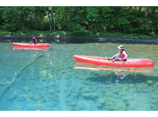 洞爺湖カヤック 東湖畔でのんびりカヤック アクティビティジャパン
